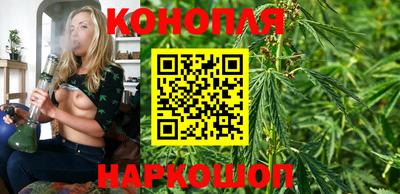 прущие крисы Гусев