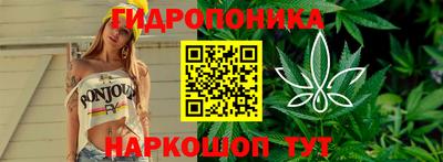 прущие крисы Гусев