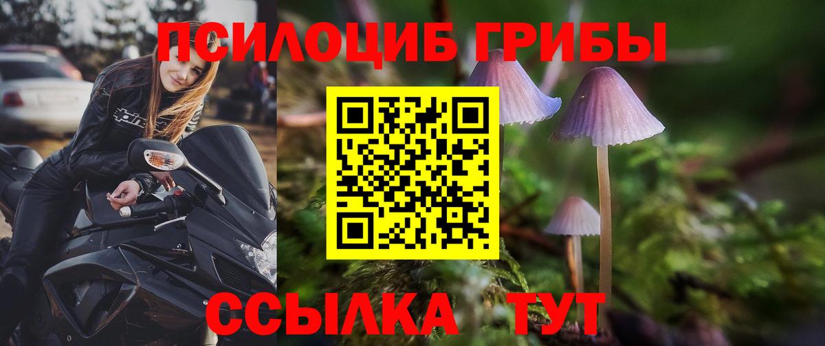 Галлюциногенные грибы GOLDEN TEACHER Мытищи