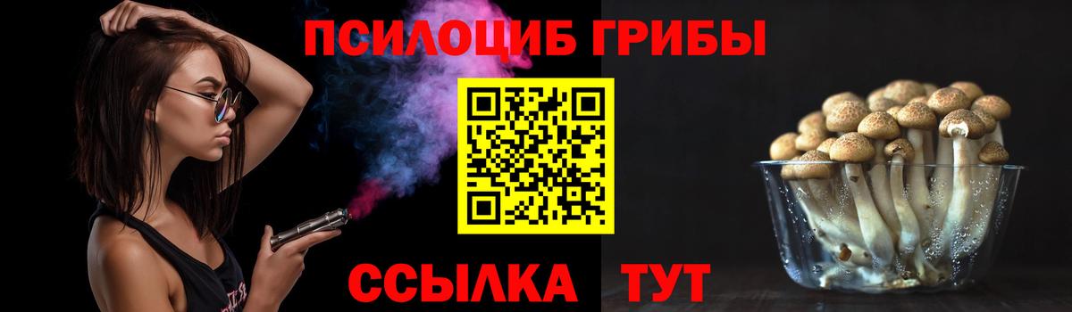 Мытищи  даркнет сайт  Вход с VPN  Псилоцибиновые грибы Psilocybine cubensis 