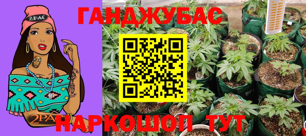 Бошки Шишки план  Канабис семена  Вход с VPN  Мытищи  Каннабис White Widow 